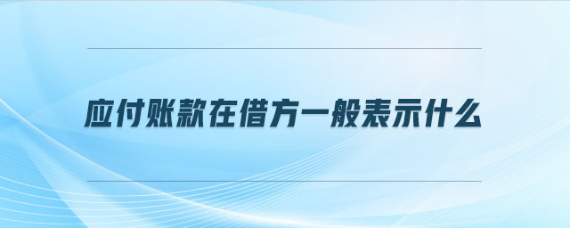 應付賬款在借方一般表示什么