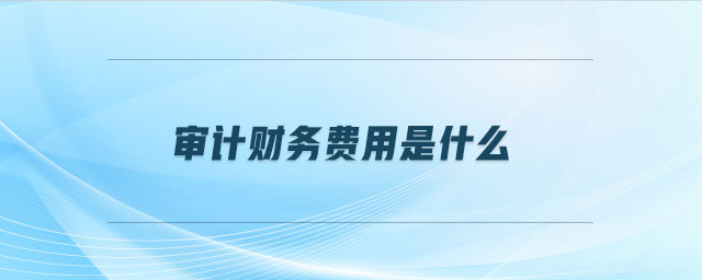 審計財務費用是什么