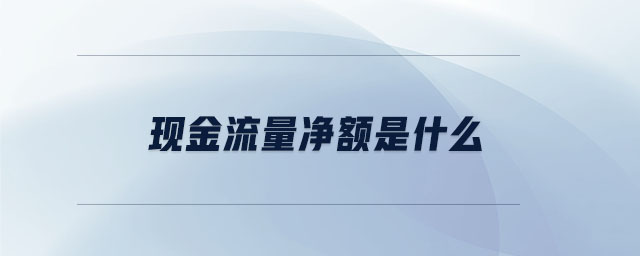 現(xiàn)金流量凈額是什么