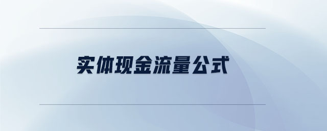 實(shí)體現(xiàn)金流量公式