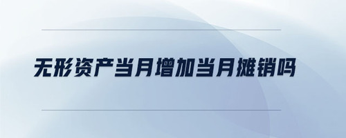 無形資產(chǎn)當(dāng)月增加當(dāng)月攤銷嗎