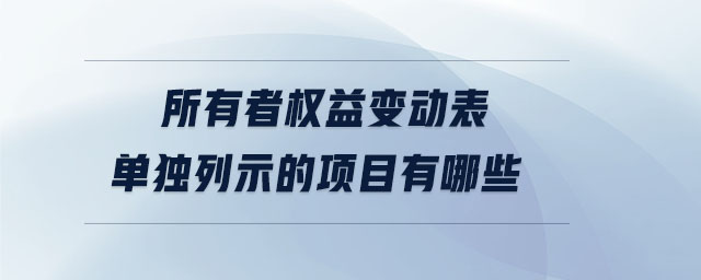 所有者權(quán)益變動(dòng)表單獨(dú)列示的項(xiàng)目有哪些