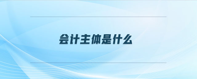 會(huì)計(jì)主體是什么