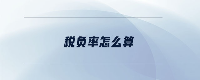 稅負(fù)率怎么算