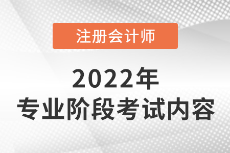 2022年注冊(cè)會(huì)計(jì)師專業(yè)階段考什么？