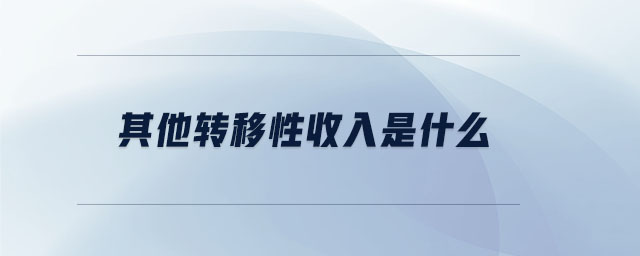 其他轉(zhuǎn)移性收入是什么