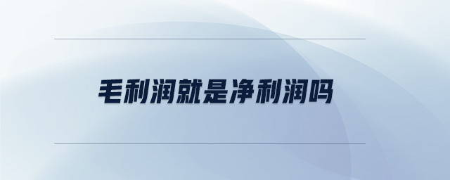 毛利潤就是凈利潤嗎