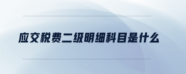 應(yīng)交稅費(fèi)二級(jí)明細(xì)科目是什么