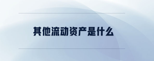 其他流動(dòng)資產(chǎn)是什么