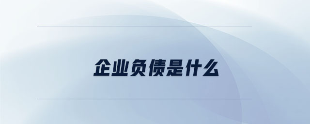 企業(yè)負債是什么