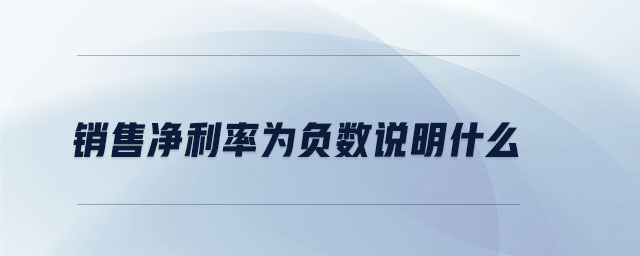 銷售凈利率為負數說明什么
