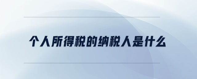 個人所得稅的納稅人是什么