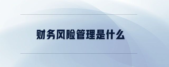 財務(wù)風(fēng)險管理是什么