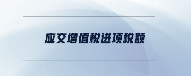 應(yīng)交增值稅進項稅額