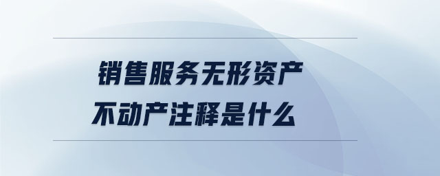 銷售服務(wù)無形資產(chǎn)不動(dòng)產(chǎn)注釋是什么