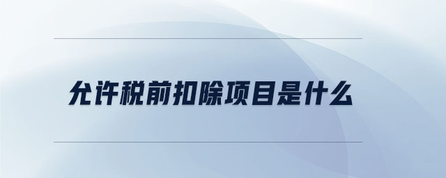 允許稅前扣除項目是什么