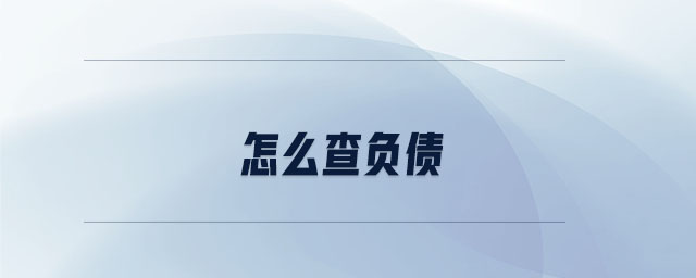 怎么查負(fù)債