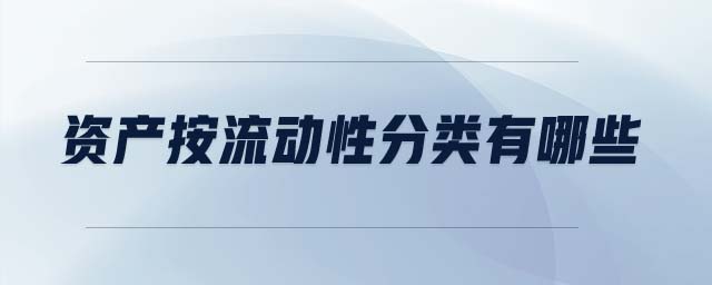 資產按流動性分類有哪些