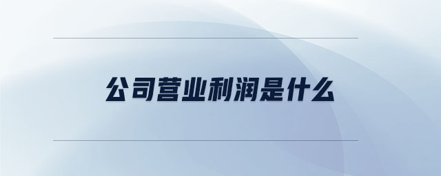 公司營業(yè)利潤是什么