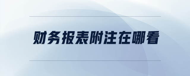 財(cái)務(wù)報(bào)表附注在哪看
