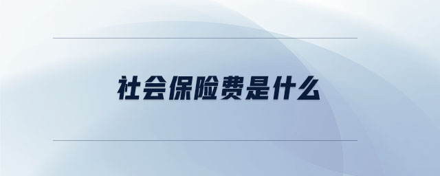 社會保險費(fèi)是什么