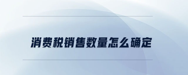 消費(fèi)稅銷(xiāo)售數(shù)量怎么確定