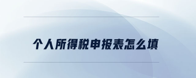 個人所得稅申報表怎么填