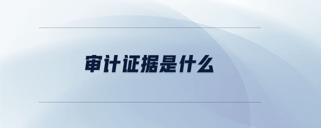 審計證據(jù)是什么