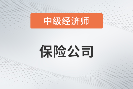 保險公司_2022中級經(jīng)濟師金融備考知識點