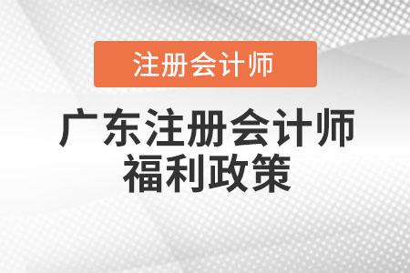廣東省茂名注冊(cè)會(huì)計(jì)師福利政策