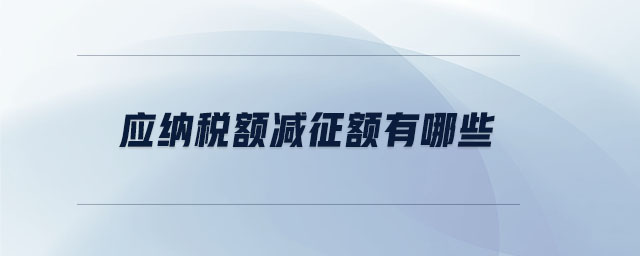 應(yīng)納稅額減征額有哪些