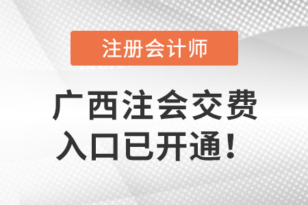 2022年廣西自治區(qū)貴港注冊會(huì)計(jì)師考試6月15日開始交費(fèi)！