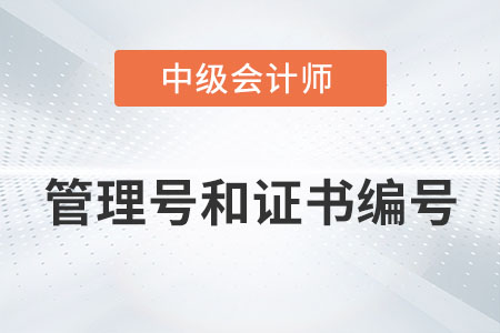 中級會計證管理號和證書編號分別是什么？