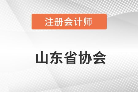 山東省濱州注冊(cè)會(huì)計(jì)師協(xié)會(huì)網(wǎng)址