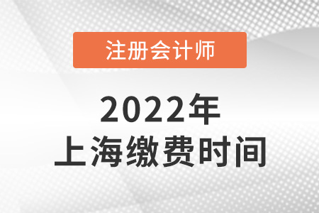 2022年上海市盧灣區(qū)注冊(cè)會(huì)計(jì)師考試?yán)U費(fèi)時(shí)間是哪天？