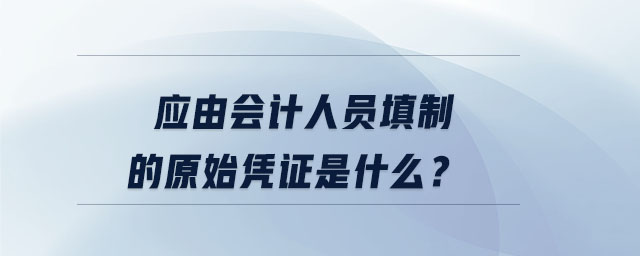 應(yīng)由會計人員填制的原始憑證是什么？