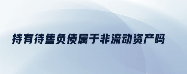 持有待售負債屬于非流動資產(chǎn)嗎