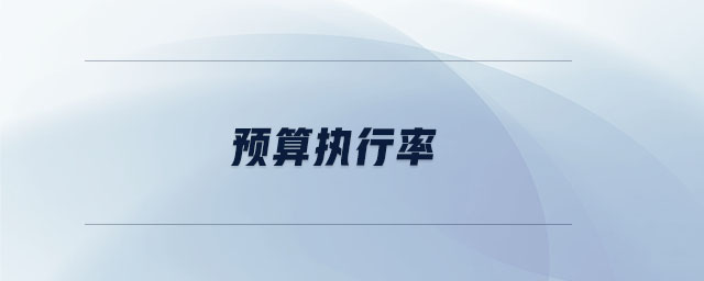 預算執(zhí)行率