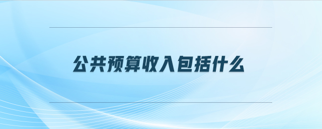 公共預算收入包括什么