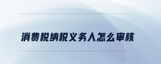 消費(fèi)稅納稅義務(wù)人怎么審核
