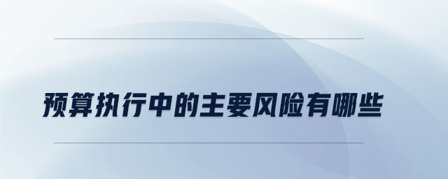 預(yù)算執(zhí)行中的主要風(fēng)險有哪些