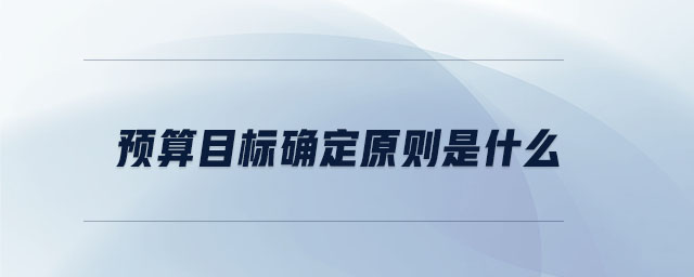 預(yù)算目標(biāo)確定原則是什么
