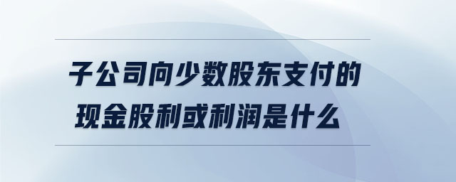 子公司向少數(shù)股東支付的現(xiàn)金股利或利潤(rùn)是什么