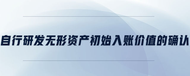 自行研發(fā)無形資產初始入賬價值的確認