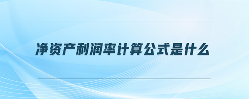 凈資產(chǎn)利潤(rùn)率計(jì)算公式是什么