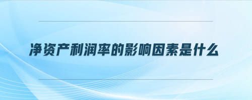 凈資產(chǎn)利潤率的影響因素是什么