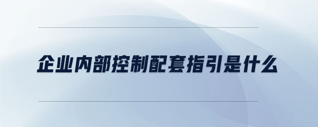 企業(yè)內(nèi)部控制配套指引是什么