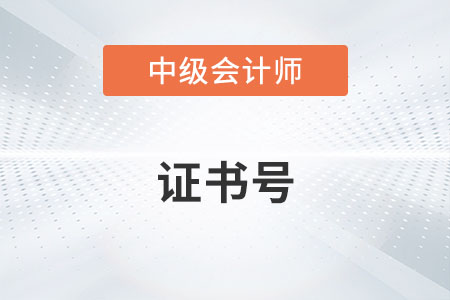 中級會計證書編碼是管理號嗎？