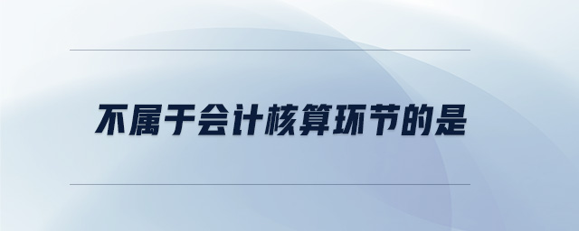 不屬于會(huì)計(jì)核算環(huán)節(jié)的是