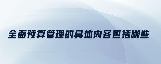 全面預算管理的具體內容包括哪些